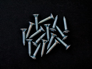 Image showing Chrome wood  screw.