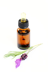 Image showing lavender oil