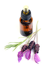 Image showing lavender oil