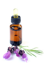 Image showing lavender oil