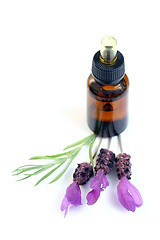 Image showing lavender oil