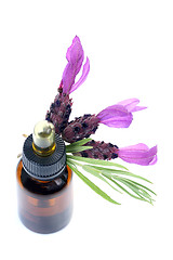 Image showing lavender oil