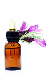 Image showing lavender oil