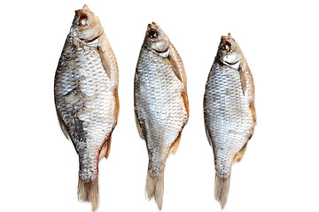 Image showing Dried fish