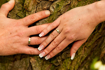 Image showing Wedding