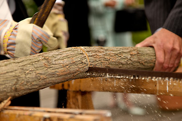 Image showing Wedding: Sawing a tree