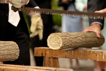 Image showing Wedding: Sawing a tree