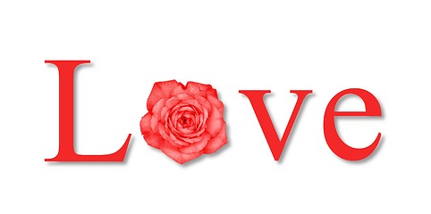 Image showing Love Flower Red