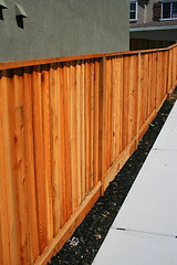 Image showing Wooden Yard Fence