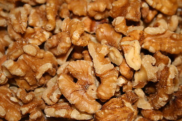 Image showing Walnuts