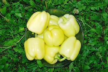 Image showing Paprika in glass bowl