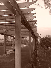 Image showing trellis