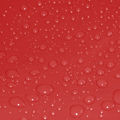 Image showing Water Drops