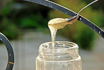 Image showing honey on sunlight