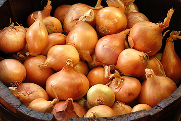 Image showing Gold Onions in wooden barrel