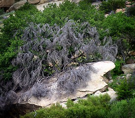 Image showing Santa Susana Mountains