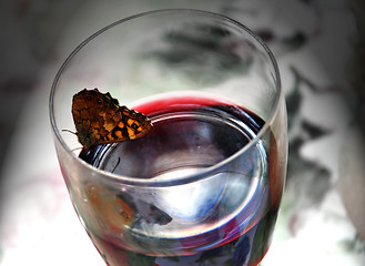 Image showing Butterfly drinking wine