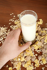 Image showing Corn flakes