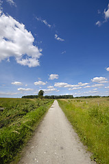 Image showing Road and nature