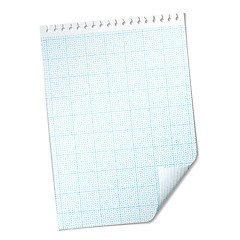 Image showing ripped sheet grid