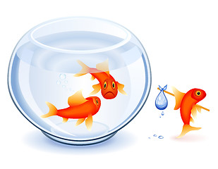 Image showing Goldfish emancipation