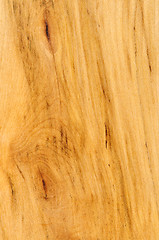 Image showing Pre-finished hardwood floor sample