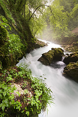 Image showing River canyon