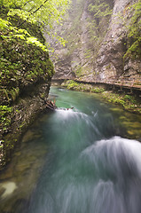 Image showing River canyon