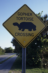 Image showing Turtle, Roadsign, Florida, U.S.A.