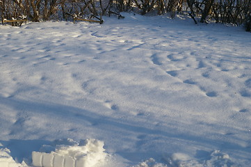 Image showing Snow