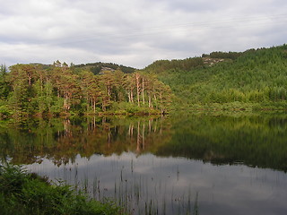 Image showing Reflections in water