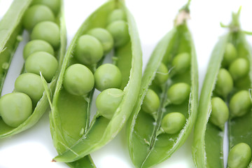 Image showing pea