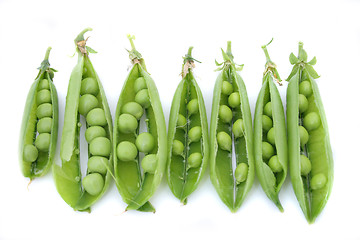 Image showing pea