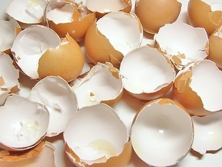 Image showing eggshel