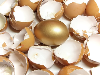 Image showing gold and eggshell