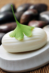 Image showing ginko soap