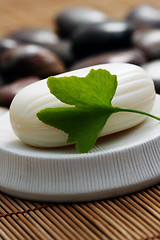 Image showing ginko soap