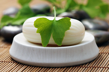 Image showing ginko soap