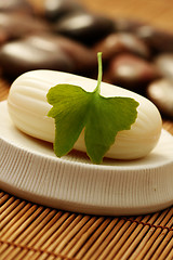 Image showing ginko soap