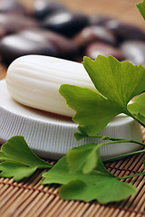 Image showing ginko soap