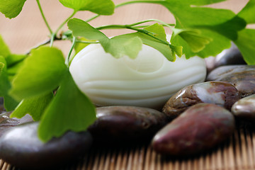 Image showing ginko soap