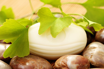 Image showing ginko soap