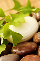 Image showing ginko soap