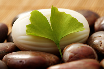 Image showing ginko soap