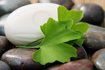 Image showing ginko soap