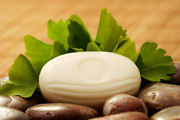 Image showing ginko soap