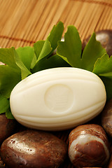 Image showing ginko soap