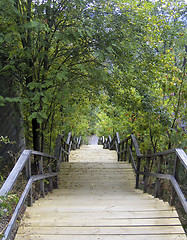 Image showing Wooden stairs between the trees