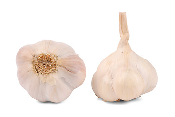 Image showing Garlic