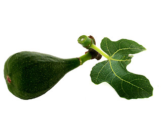 Image showing fig